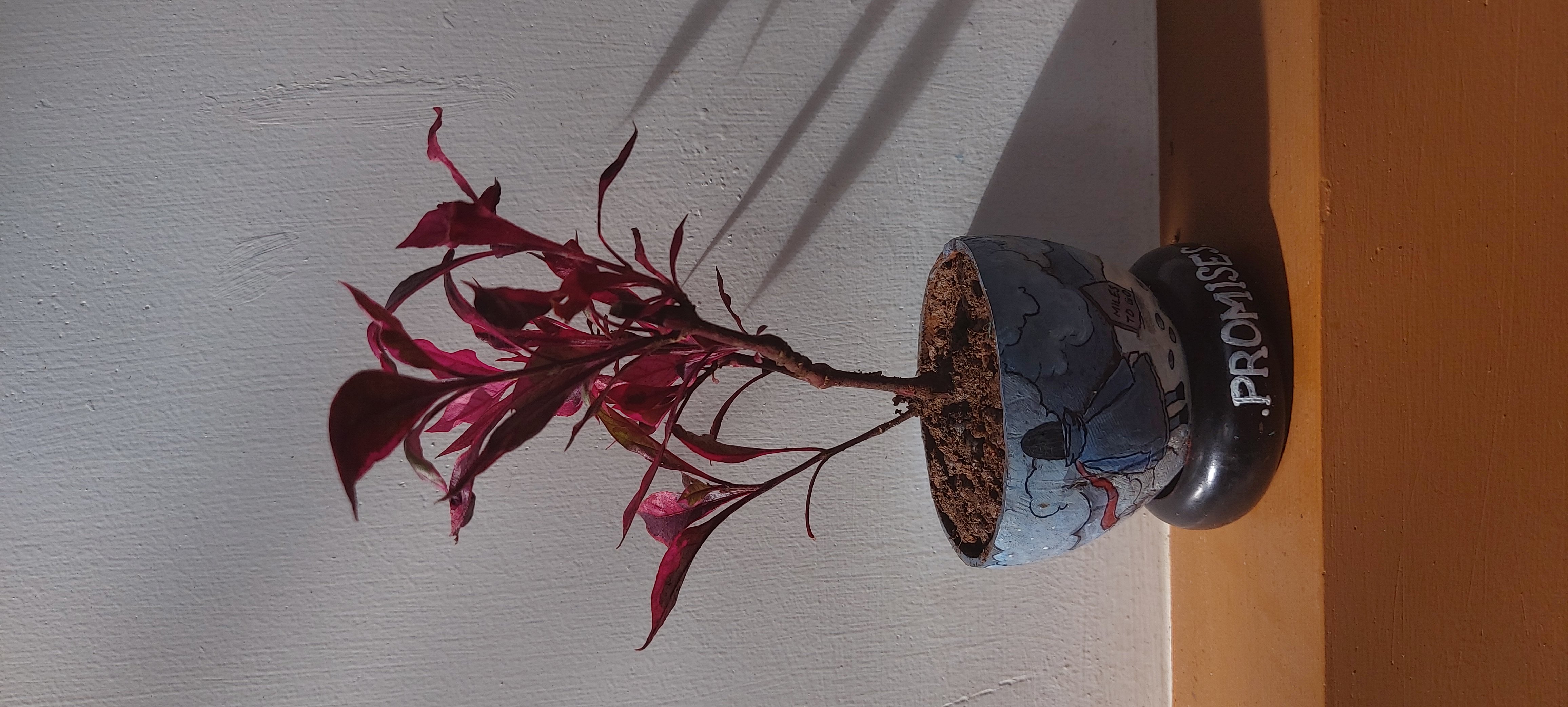 natural and artistic